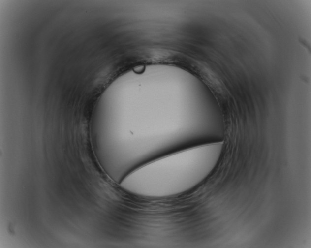 X0000097750461200803070846