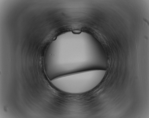X0000097750462200803070846
