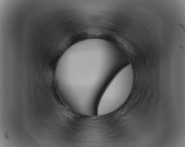 X0000097750463200803070846