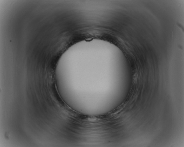 X0000097750464200803070846