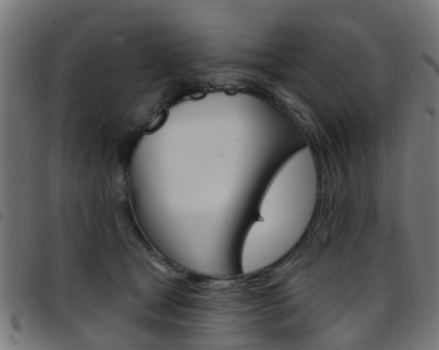 X0000097750465200803070846