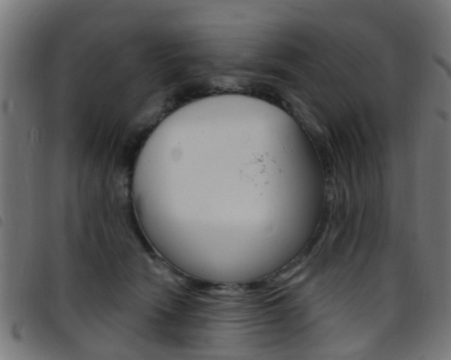 X0000097750466200803070846