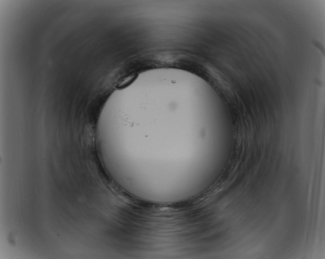 X0000097750467200803070846