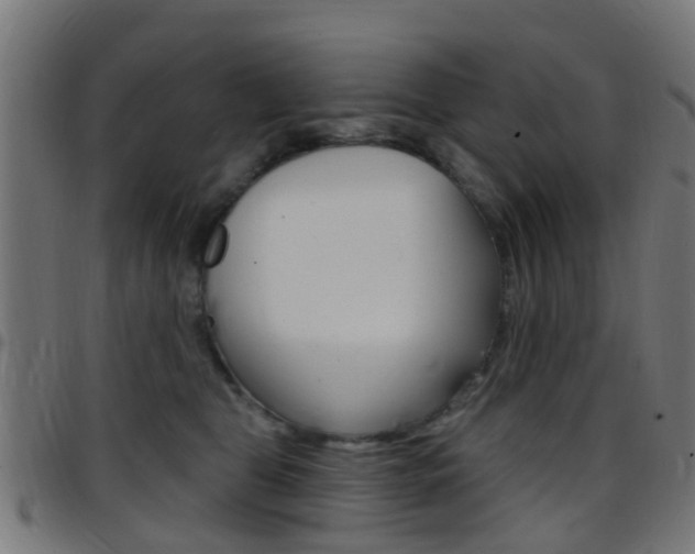 X0000097750469200803070846