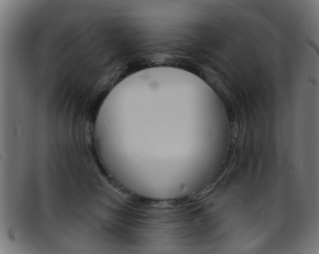 X0000097750470200803070846