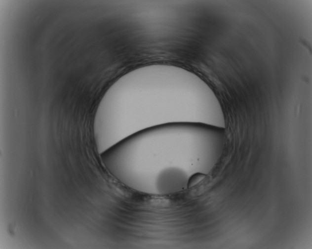 X0000097750471200803070846