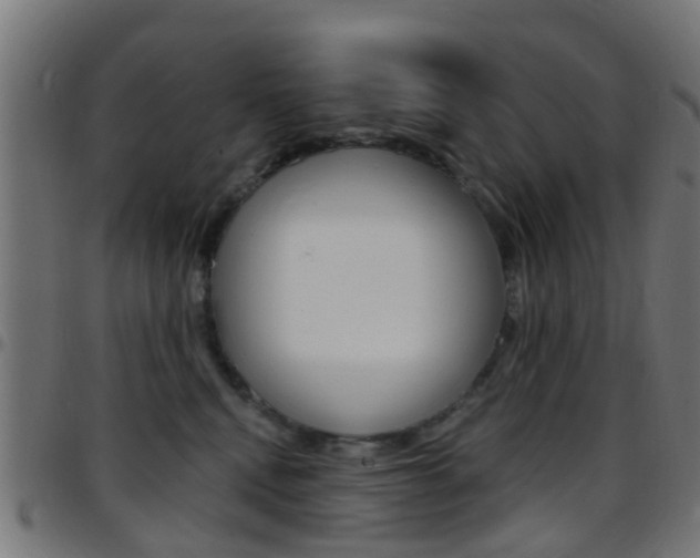 X0000097750472200803070846