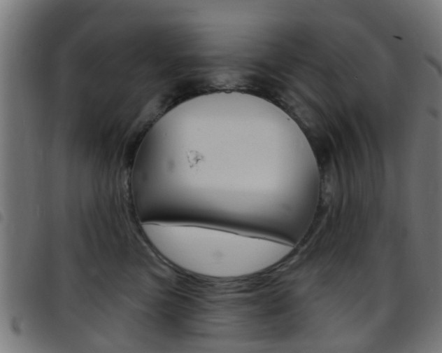 X0000097750473200803070846