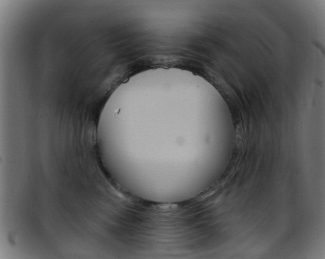 X0000097750474200803070846