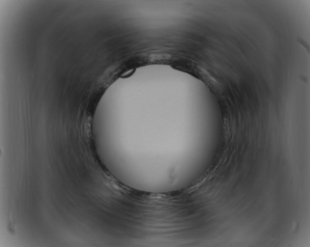 X0000097750475200803070847