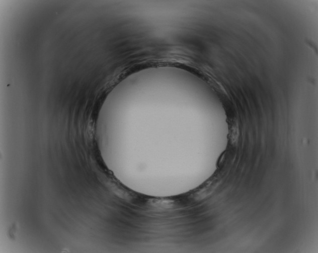 X0000097750476200803070847