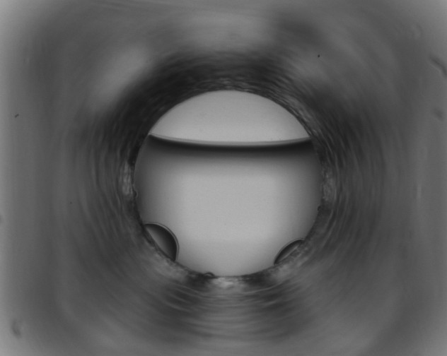 X0000097750477200803070847