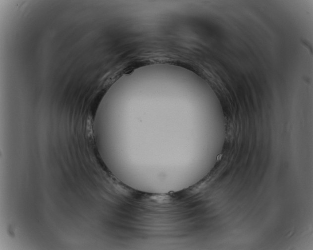 X0000097750478200803070847