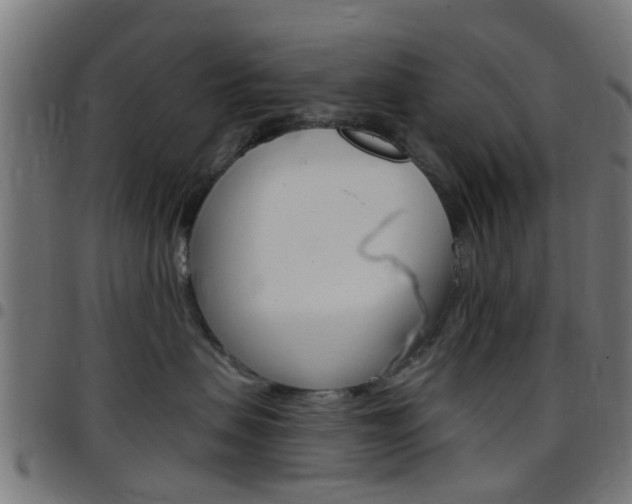 X0000097750479200803070847
