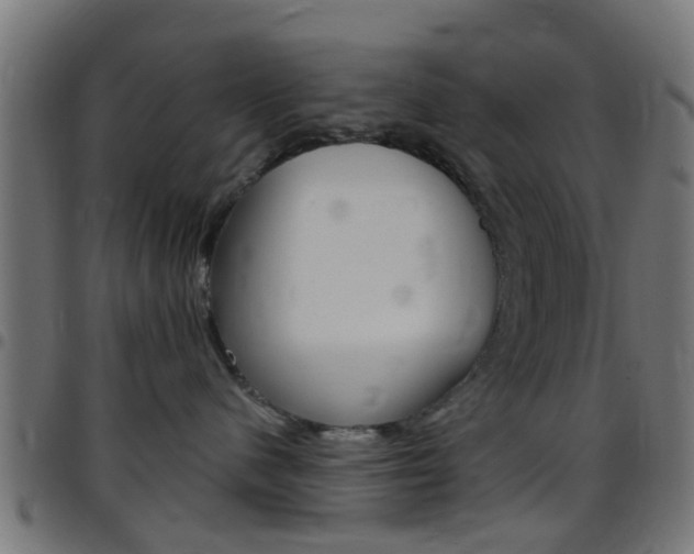 X0000097750480200803070847