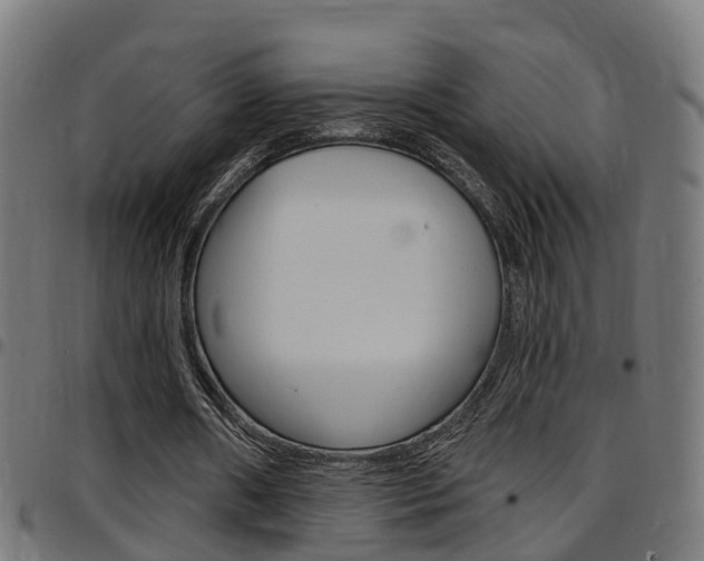 X0000097750482200803070846