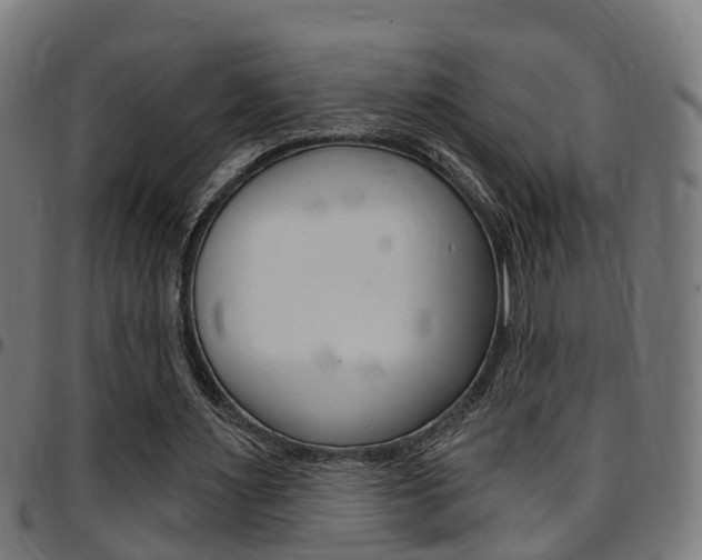X0000097750483200803070846