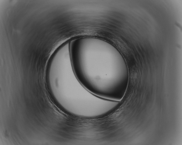 X0000097750484200803070846