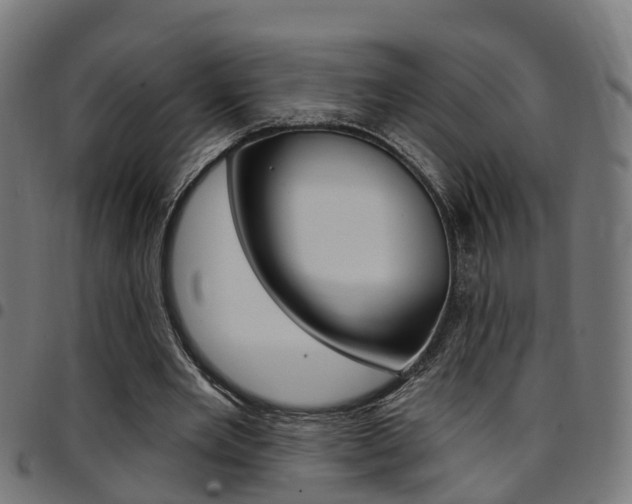 X0000097750485200803070846