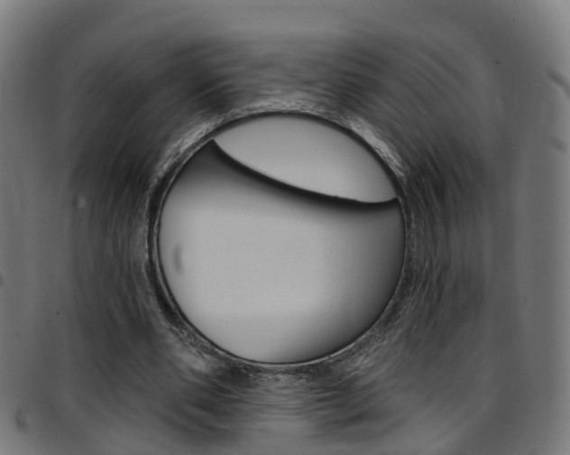 X0000097750486200803070845