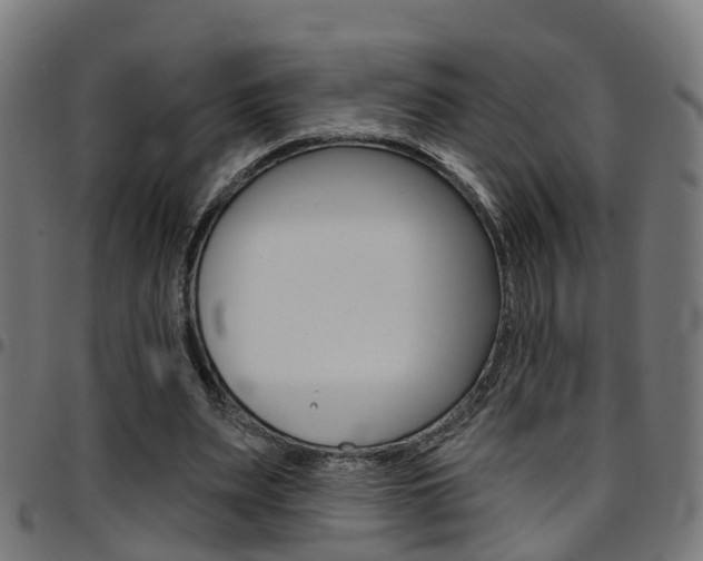 X0000097750487200803070845