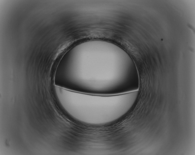 X0000097750488200803070845