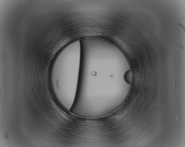 X0000097750490200803070845