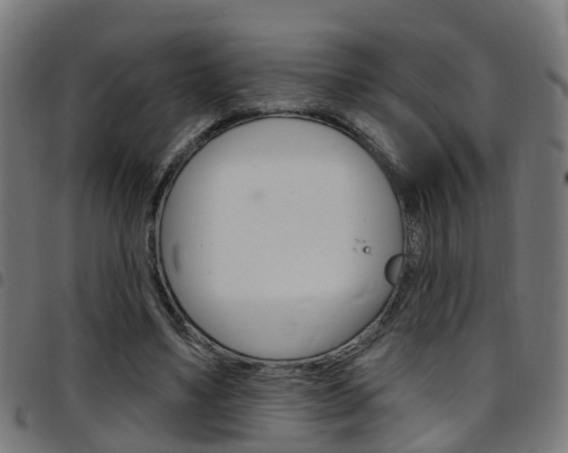 X0000097750491200803070845