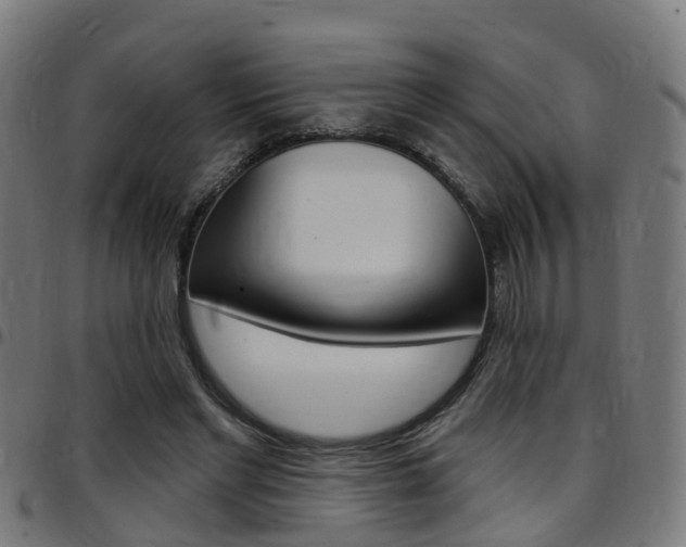 X0000097750493200803070845