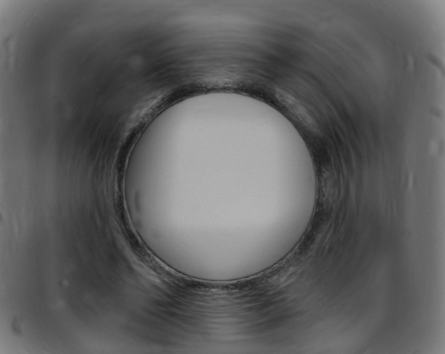 X0000097750494200803070845