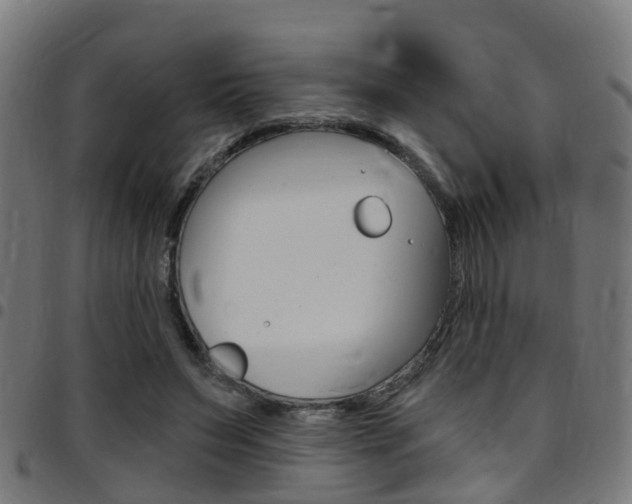 X0000097750495200803070845
