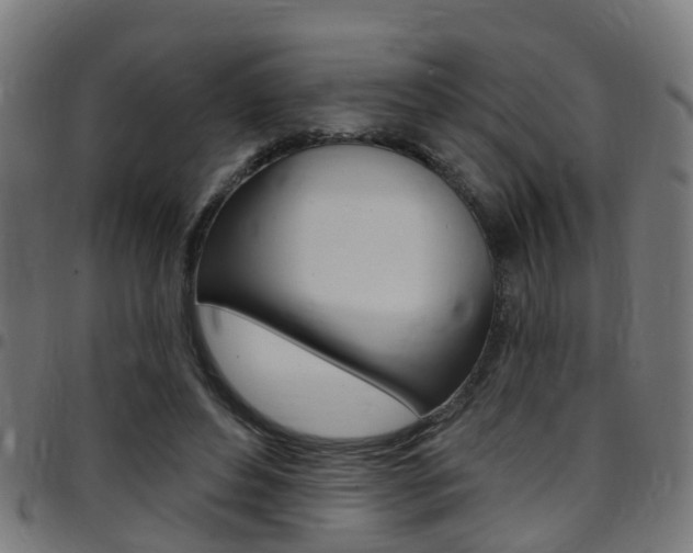 X0000097750496200803070845