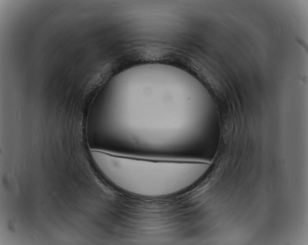 X0000097750497200803070845
