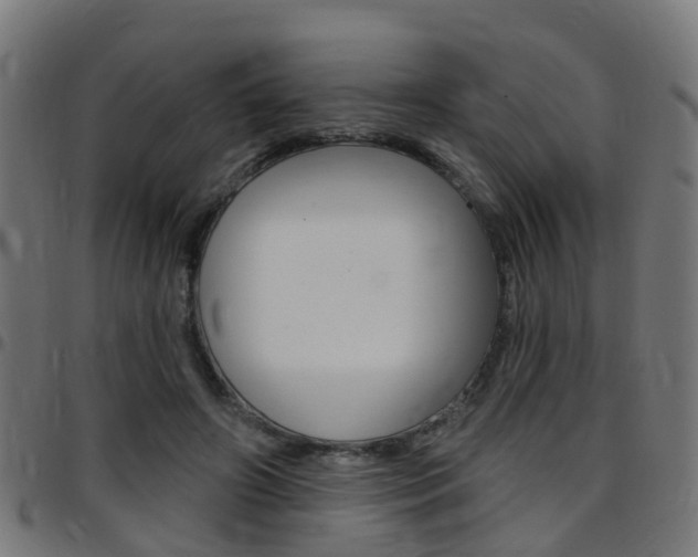 X0000097750498200803070845