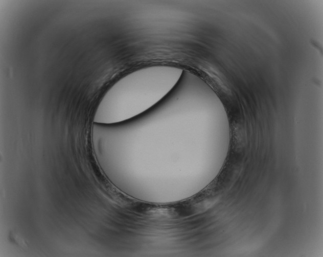 X0000097750499200803070845