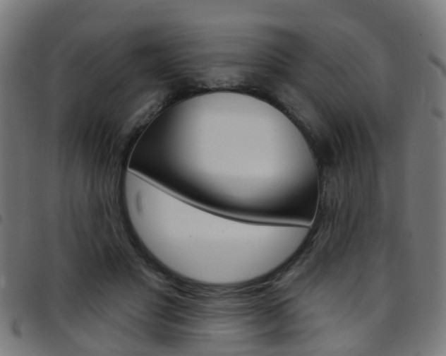 X0000097750501200803070845