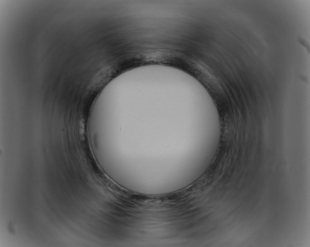 X0000097750502200803070845