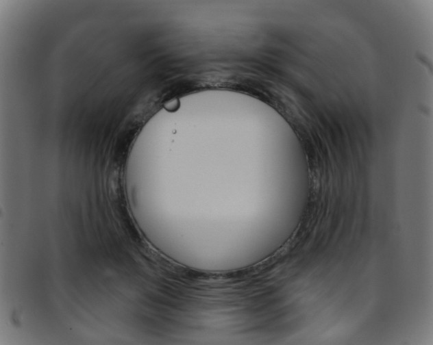 X0000097750503200803070845