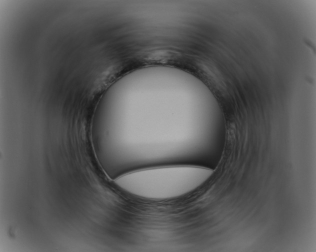 X0000097750504200803070845