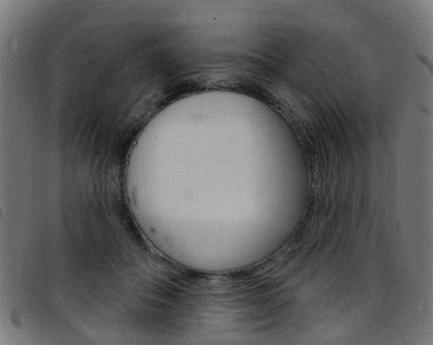 X0000097750506200803070845