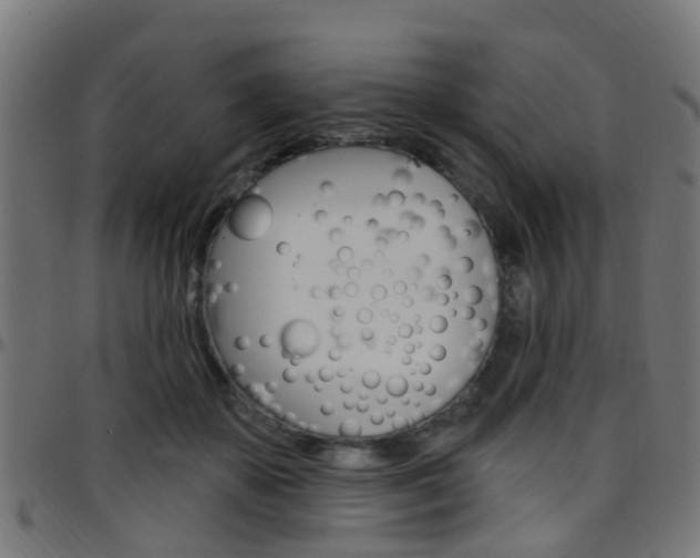 X0000097750507200803070845