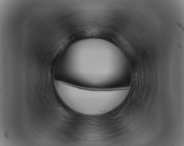 X0000097750508200803070845