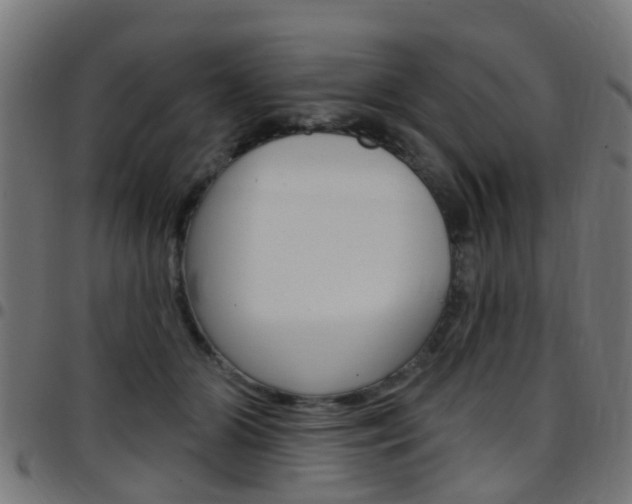 X0000097750510200803070845