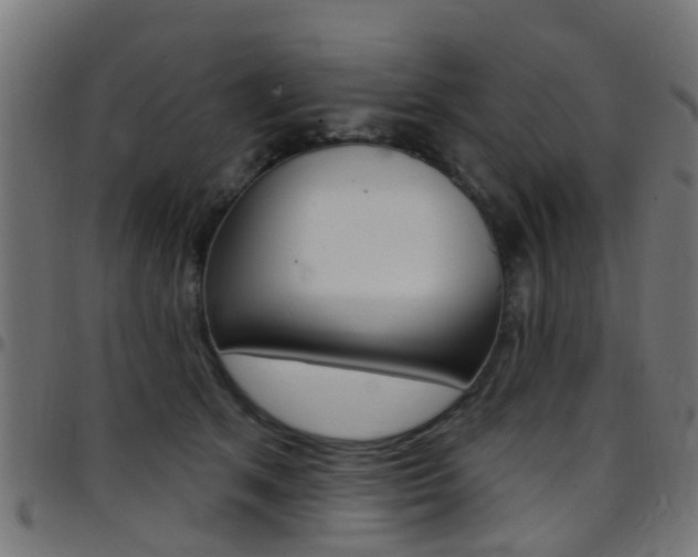 X0000097750513200803070845