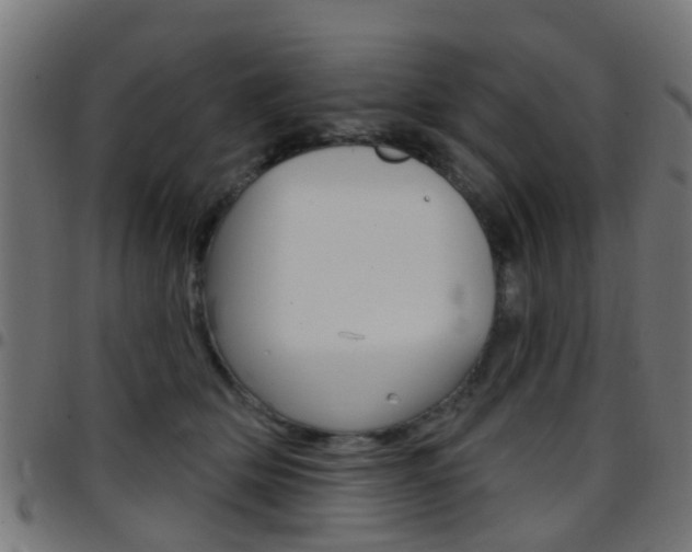 X0000097750514200803070845