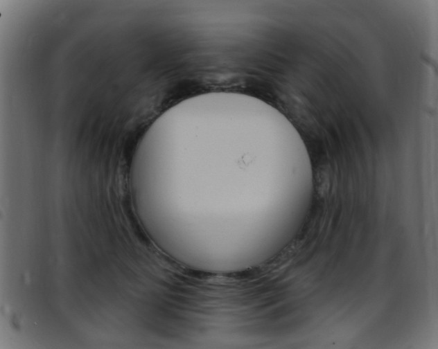 X0000097750515200803070845