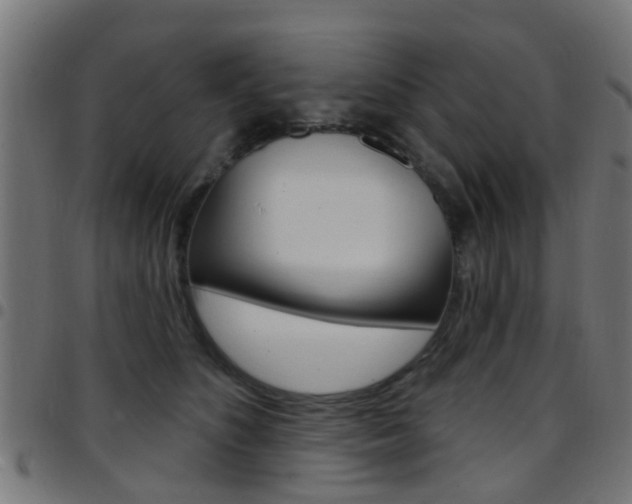 X0000097750516200803070845