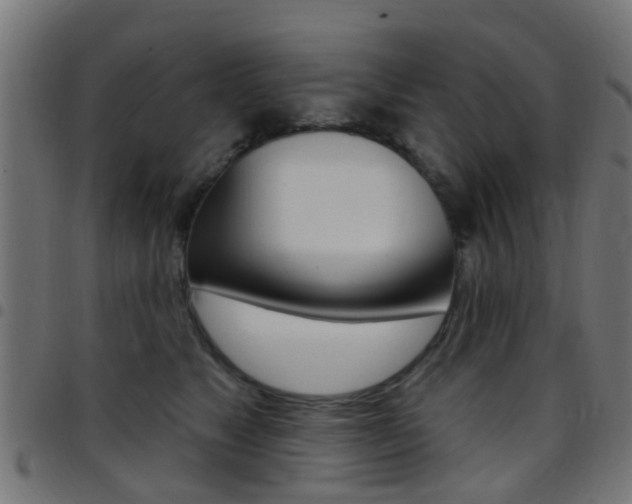 X0000097750517200803070845