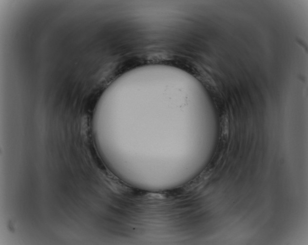 X0000097750519200803070845