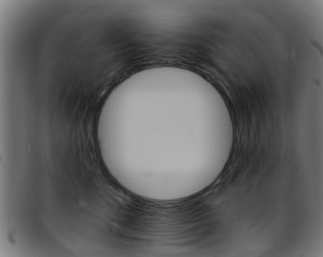 X0000097750520200803070845